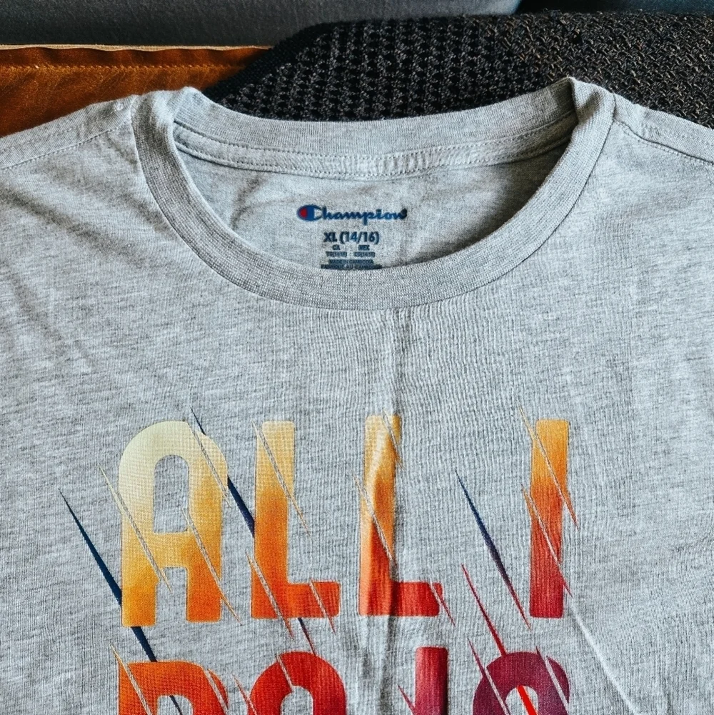 3/$20 Champion Gray “All I Do Is Win” Tee (Size XL)